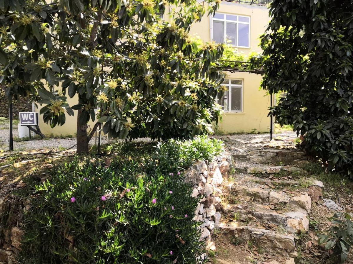 Zeytinada Pansiyon Ve Goezleme Guneykoy Εξωτερικό φωτογραφία