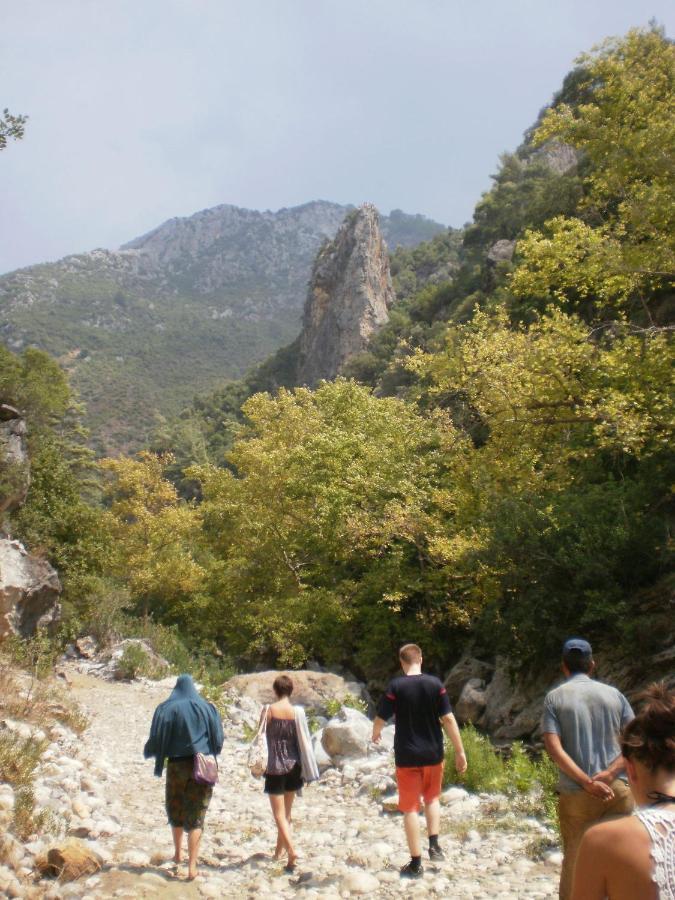 Zeytinada Pansiyon Ve Goezleme Guneykoy Εξωτερικό φωτογραφία